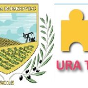 Në kërkim të "thesarit" të fshehur në kokrrat e gjelbërta
