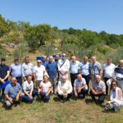 Realizimi i ditës kombëtare të vajit të ullirit