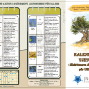 Kalendari vjetor i shërbimeve agronomike për ullirin