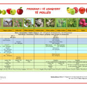 Program i të ushqyerit të mollës