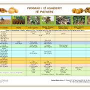 Program i të ushqyerit të patates