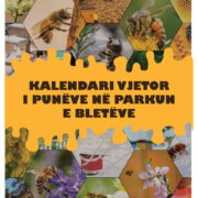 Kalendari vjetor i punëve në parkun e bletëve