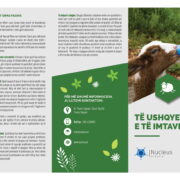 Të ushqyerit e të imtave