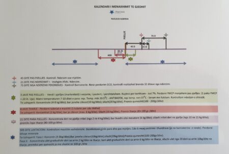 Kalendari i menaxhimit të gjedhit