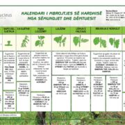 Kalendari i mbrojtjes së hardhisë nga sëmundjet dhe dëmtuesit