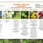 Kalendari i mbrojtjes së qershisë nga sëmundjet dhe dëmtuesit