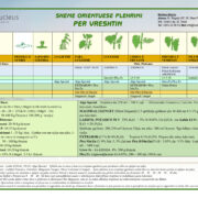 Skemë orientuese plehrimi për vreshtin