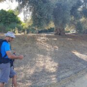 Mënyrat e Degustimit të Vajit të Ullirit