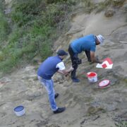 Pastrimi, sistemimi dhe markimi i Shtegut të Kalasë Ndroq