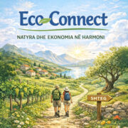 Ekspertizë shërbimi për Dukshmëri & Vizibilitet